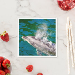 Dolphin in Milford Sound, Nieuw-Zeeland Servet