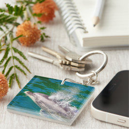 Dolphin in Milford Sound, Nieuw-Zeeland Sleutelhanger