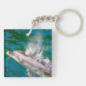 Dolphin in Milford Sound, Nieuw-Zeeland Sleutelhanger (Achterkant)