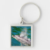 Dolphin in Milford Sound, Nieuw-Zeeland Sleutelhanger (Voorkant)