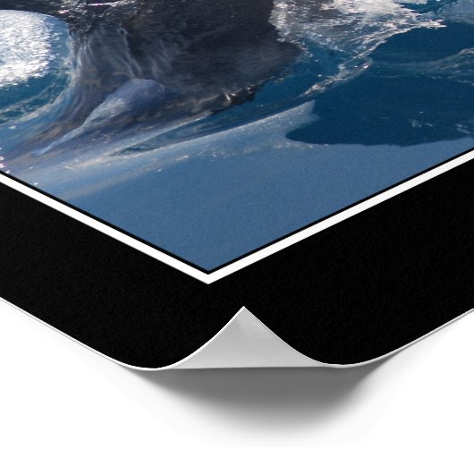 Dolphin inspirational poster (Hoek)