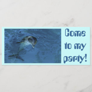 Dolphin Invitation Kaart