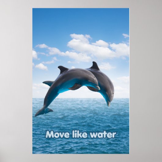 Dolphin Jump Ocean Wall Art Summer Splash Poster (Voorkant)