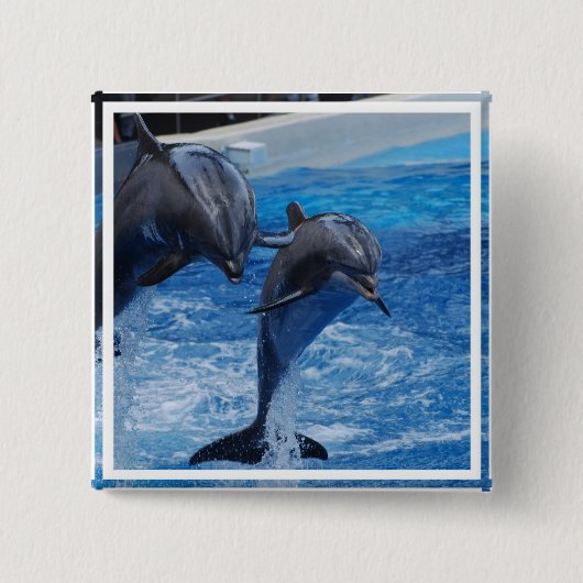 Dolphin Jumping Button (Voorkant)