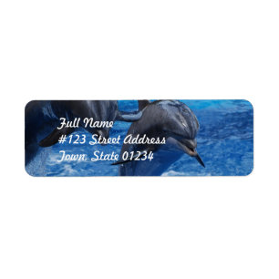 Dolphin Jumping Mailing Labels