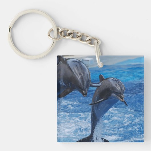 Dolphin Jumping Sleutelhanger (voorkant)