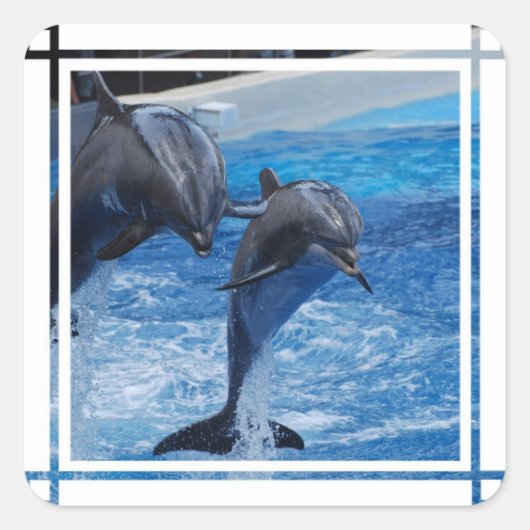 Dolphin Jumping Stickers (Voorkant)