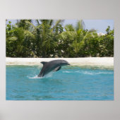 Dolphin Jumping Tropical Beach Poster (Voorkant)