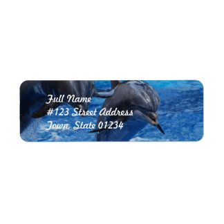 Dolphin Jumping Verzendlabels Etiket