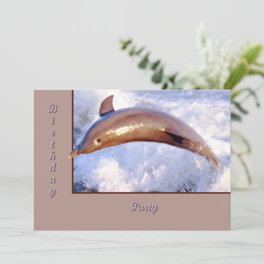 Dolphin Kaart (Staand voorkant)