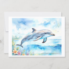 Dolphin Kaart