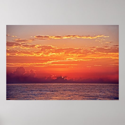 Dolphin Leaping op Sunrise Poster (Voorkant)