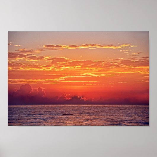 Dolphin Leaping op Sunrise Poster (Voorkant)