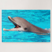 Dolphin Legpuzzel (Horizontaal)