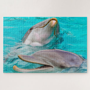 Dolphin Legpuzzel