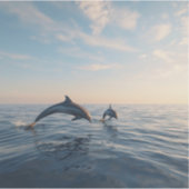 Dolphin love sticker (Voorkant)