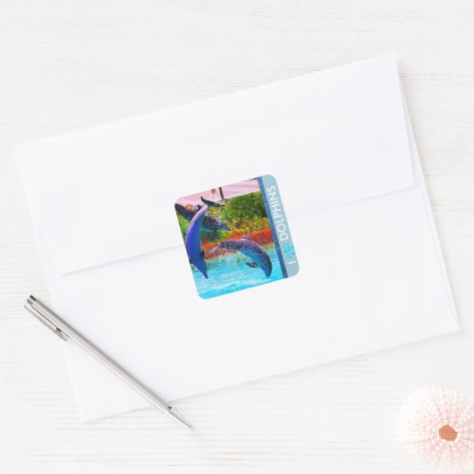 Dolphin Lovers Stickers (Envelop)