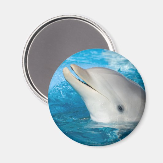 Dolphin Magneet (Voorkant / Achterkant)