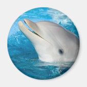 Dolphin Magneet (Voorkant)