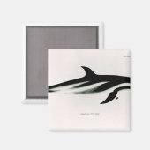 Dolphin Magneet (Voorkant / Achterkant)
