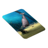 Dolphin Magneet (Rechterzijde)
