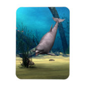 Dolphin Magneet (Verticaal)