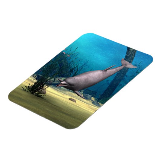 Dolphin Magneet (Linkerzijde)