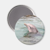 Dolphin Magnet (Voorkant / Achterkant)