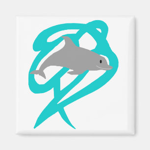 Dolphin magnet