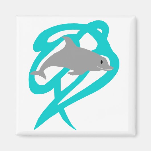 Dolphin magnet (Voorkant)