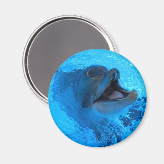 Dolphin Magnet (Voorkant / Achterkant)