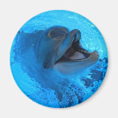 Dolphin Magnet (Voorkant)