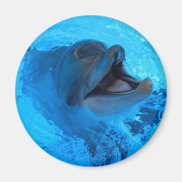Dolphin Magnet