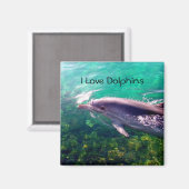 Dolphin Magnet (Voorkant / Achterkant)