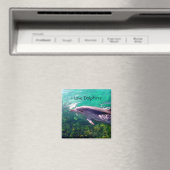 Dolphin Magnet (Insitu (Vaatwasser))