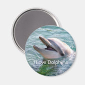 Dolphin Magnet (Voorkant / Achterkant)