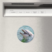 Dolphin Magnet (Insitu (Vaatwasser))