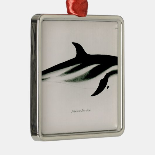 Dolphin Metalen Ornament (Rechts)