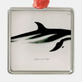 Dolphin Metalen Ornament (Voorkant)
