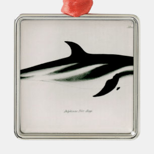 Dolphin Metalen Ornament