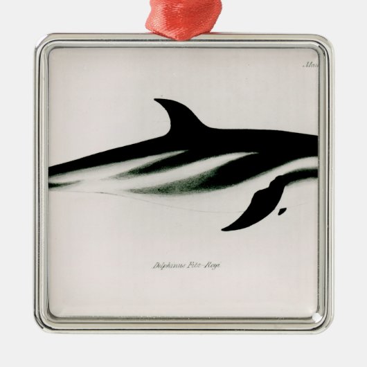 Dolphin Metalen Ornament (Voorkant)