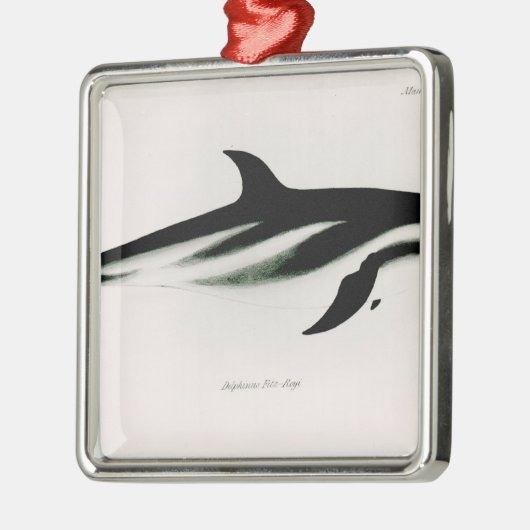 Dolphin Metalen Ornament (Links)