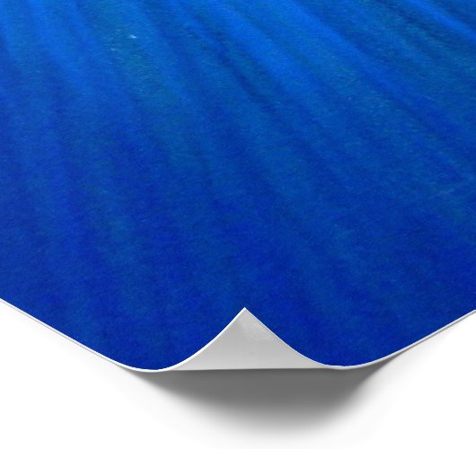 Dolphin Moon Mermaid fantasy art Poster (Hoek)