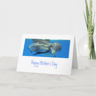 Dolphin Mother's Day Card Kaart