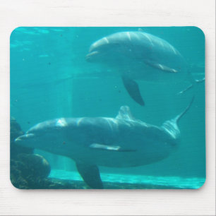 Dolphin Mousepad Muismat