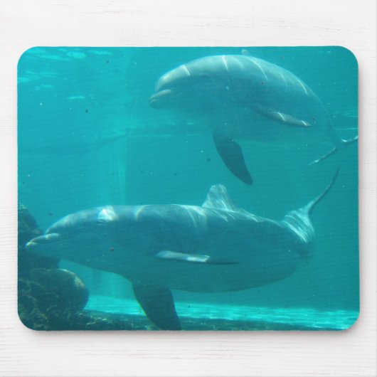 Dolphin Mousepad Muismat (Voorkant)