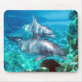 Dolphin Mousepad Muismat (Voorkant)