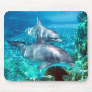 Dolphin Mousepad Muismat