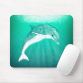 Dolphin Muismat (Met muis)
