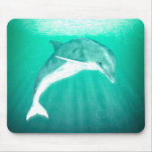 Dolphin Muismat (Voorkant)